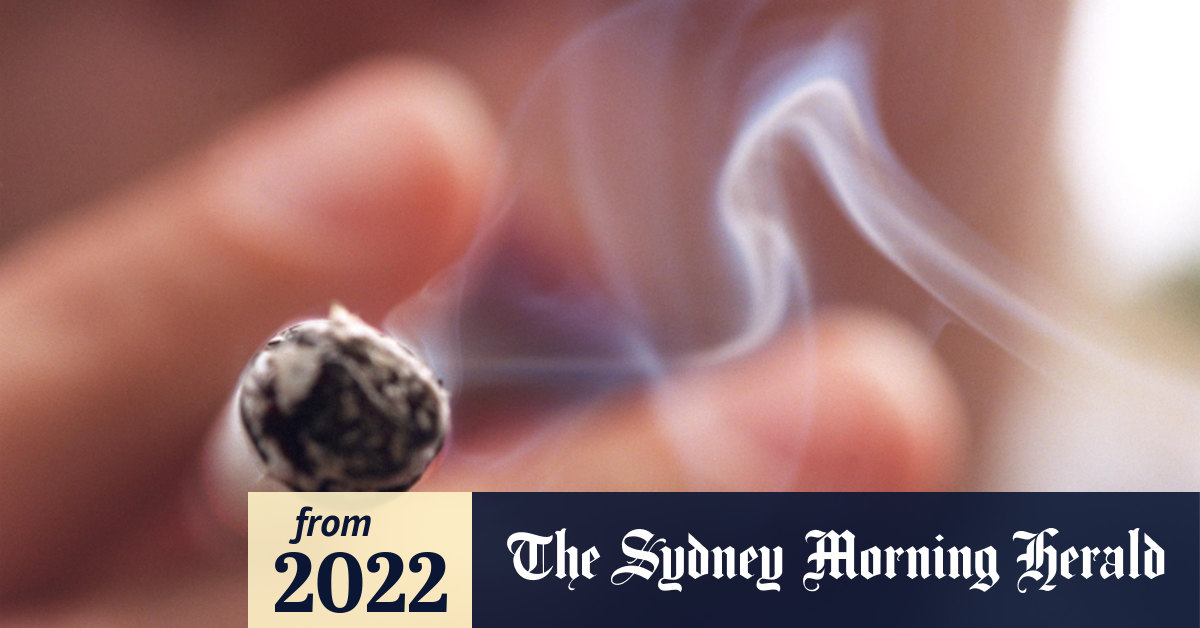 NZ smoking laws Australia urged to follow suit in tobacco ‘endgame’